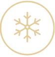 Season Surpr-Eyes
